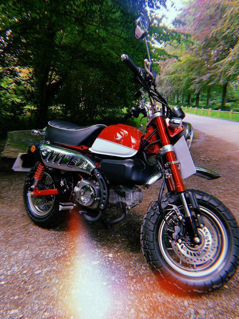 honda monkey gumtree